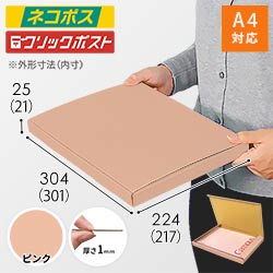 【ピンク色】厚さ2.5cm・N式ケース（A4サイズ・クロネコゆうパケット・クリックポスト）
