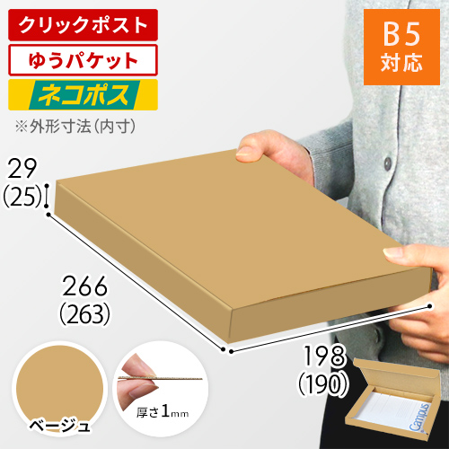 【ベージュ色】厚さ3cm・N式ケース（B5サイズ・クリックポスト・ゆうパケット）
