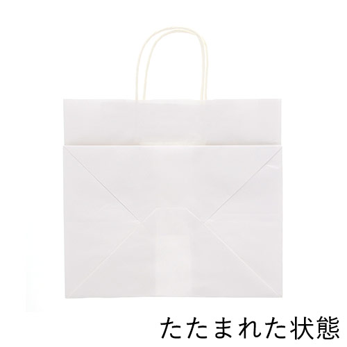 手提げ紙袋（白・丸紐・幅300×マチ210×高さ275mm）