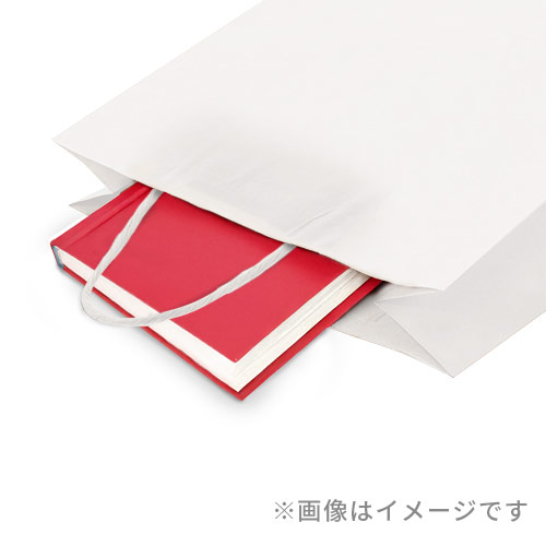 【特別価格】手提げ紙袋(白・丸紐・幅200×マチ120×高さ250mm)