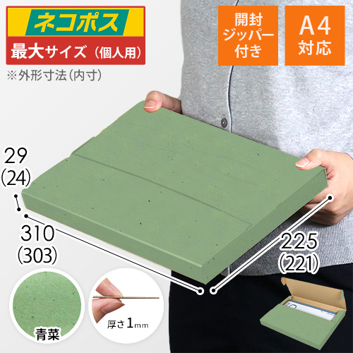 【青菜色】厚さ3cm・テープレスケース（A4サイズ・ネコポス・クリックポスト）