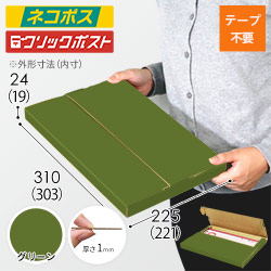 【グリーン色】厚さ2.5cm・テープレスケース（A4サイズ・ネコポス・クリックポスト）