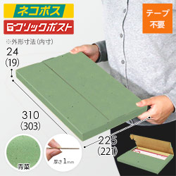 【青菜色】厚さ2.5cm・テープレスケース（A4サイズ・ネコポス・クリックポスト）