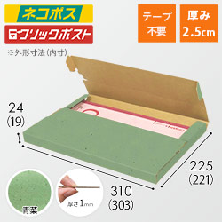 【青菜色】厚さ2.5cm・テープレスケース（A4サイズ・ネコポス・クリックポスト）