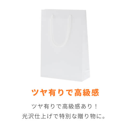 手提げ紙袋（白 ツヤあり・PP紐・幅225×マチ80×高さ320mm）