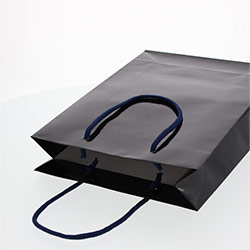 手提げ紙袋（紺・ツヤあり・幅225×マチ80×高さ320mm