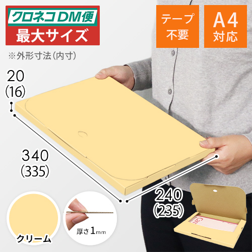 【クリーム色】厚さ2cm・テープレスケース（A4サイズ・クロネコDM便最大・ゆうパケット）