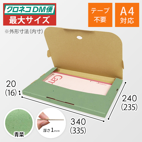 【青菜色】厚さ2cm・テープレスケース（A4サイズ・クロネコDM便最大・ゆうパケット）