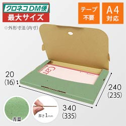 【青菜色】厚さ2cm・テープレスケース（A4サイズ・クロネコDM便最大・ゆうパケット）