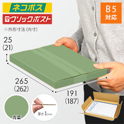 【青菜色】厚さ2.5cm・ヤッコ型ケース（B5サイズ・ネコポス・クリックポスト）