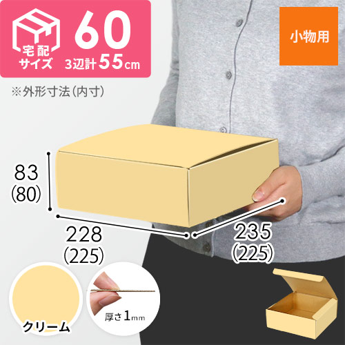 【クリーム色】フリーBOX・N式ケース（225×225×80mm・定形外郵便）