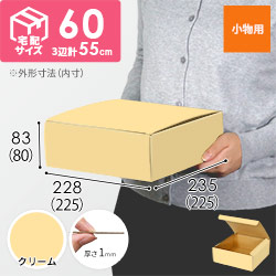 【クリーム色】フリーBOX・N式ケース（225×225×80mm・定形外郵便）