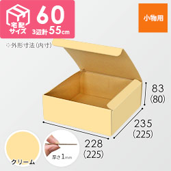 【クリーム色】フリーBOX・N式ケース（225×225×80mm・定形外郵便）