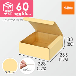 【クリーム色】フリーBOX・N式ケース（225×225×80mm・定形外郵便）
