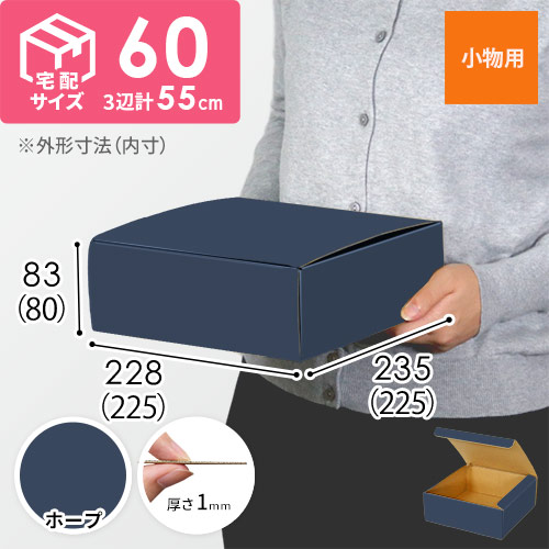 【青色・ホープ】フリーBOX・N式ケース（225×225×80mm・定形外郵便）