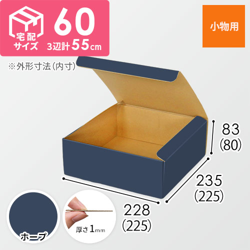 【青色・ホープ】フリーBOX・N式ケース（225×225×80mm・定形外郵便）