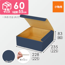 【青色・ホープ】フリーBOX・N式ケース（225×225×80mm・定形外郵便）