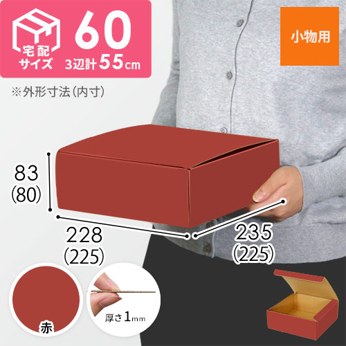 【赤色】フリーBOX・N式ケース（225×225×80mm・定形外郵便）
