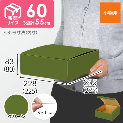 【グリーン色】フリーBOX・N式ケース（225×225×80mm・定形外郵便）