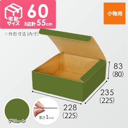 【グリーン色】フリーBOX・N式ケース（225×225×80mm・定形外郵便）