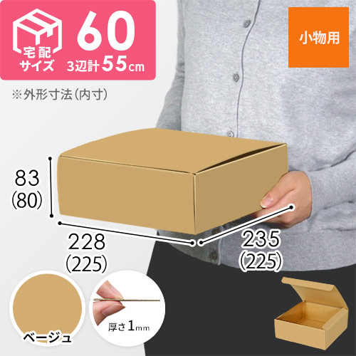 【ベージュ色】フリーBOX・N式ケース（225×225×80mm・定形外郵便）