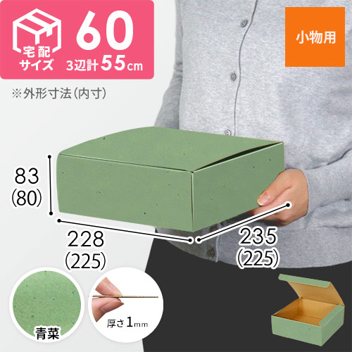 【青菜色】フリーBOX・N式ケース（225×225×80mm・定形外郵便）