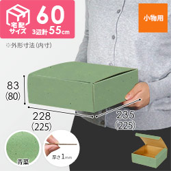 【青菜色】フリーBOX・N式ケース（225×225×80mm・定形外郵便）