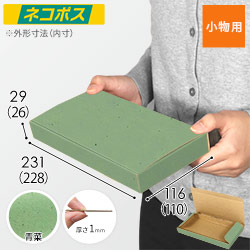 【青菜色】厚さ3cm・N式ケース（ネコポス最小・定形外郵便）