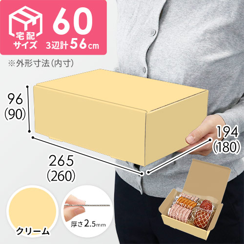 【クリーム色】宅配60サイズ・N式ケース（260×180×90mm・はっ水加工なし）