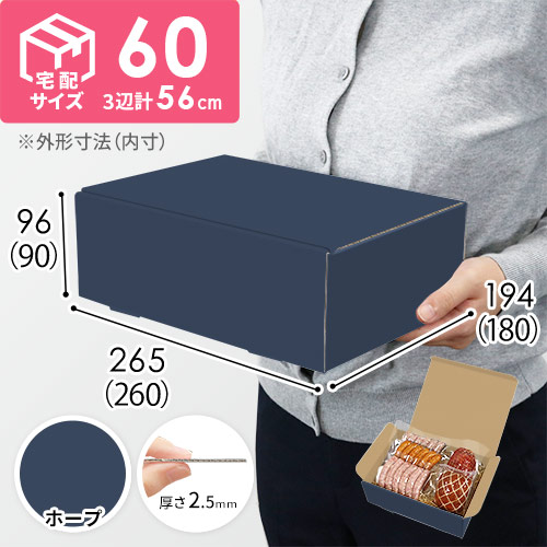 【青色・ホープ】宅配60サイズ・N式ケース（260×180×90mm・はっ水加工なし）
