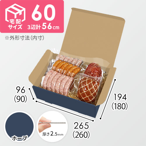 【青色・ホープ】宅配60サイズ・N式ケース（260×180×90mm・はっ水加工なし）