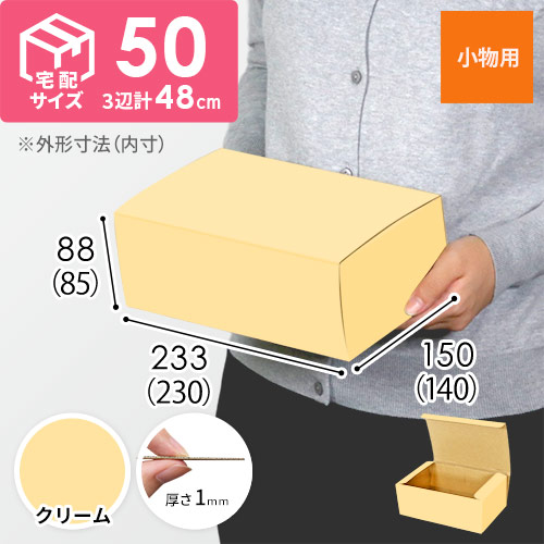 【クリーム色】フリーBOX・N式ケース（230×140×85mm・定形外郵便）