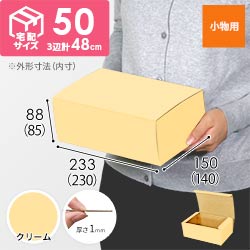 【クリーム色】フリーBOX・N式ケース（230×140×85mm・定形外郵便）
