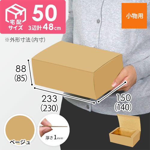 【ベージュ色】フリーBOX・N式ケース（230×140×85mm・定形外郵便）