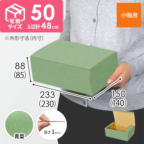 【青菜色】フリーBOX・N式ケース（230×140×85mm・定形外郵便）