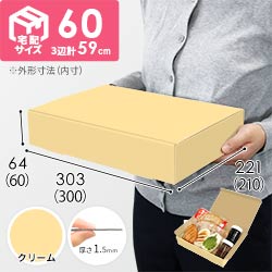 【クリーム色】宅配60サイズ・N式ケース（300×210×60mm・A4サイズ）