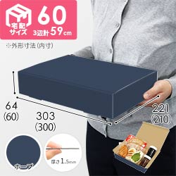 【青色・ホープ】宅配60サイズ・N式ケース（300×210×60mm・A4サイズ）