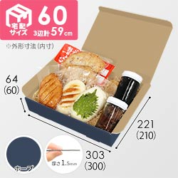 【青色・ホープ】宅配60サイズ・N式ケース（300×210×60mm・A4サイズ）