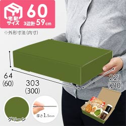 【グリーン色】宅配60サイズ・N式ケース（300×210×60mm・A4サイズ）