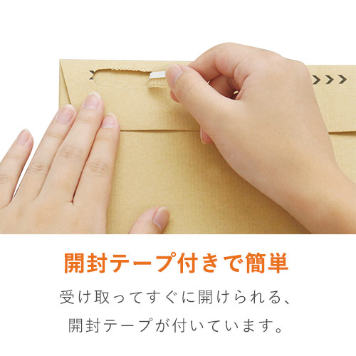 紙製クッション封筒（飛脚メール便最大・宅配80サイズ）
