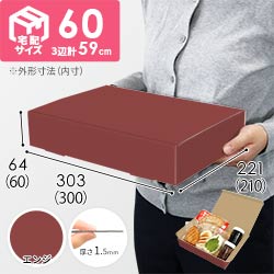 【エンジ色】宅配60サイズ・N式ケース（300×210×60mm・A4サイズ）