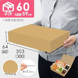 【ベージュ色】宅配60サイズ・N式ケース（300×210×60mm・A4サイズ）