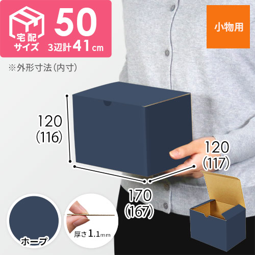 【青色・ホープ】小物用・地獄底ケース（167×117×116mm・定形外郵便）