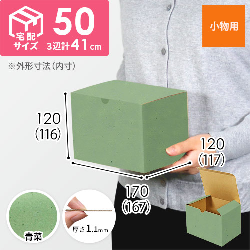 【青菜色】小物用・地獄底ケース（167×117×116mm・定形外郵便）