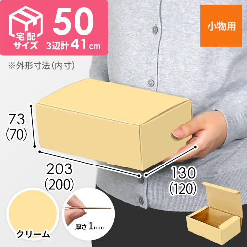 【クリーム色】フリーBOX・N式ケース（200×120×70mm・定形外郵便）