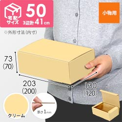 【クリーム色】フリーBOX・N式ケース（200×120×70mm・定形外郵便）