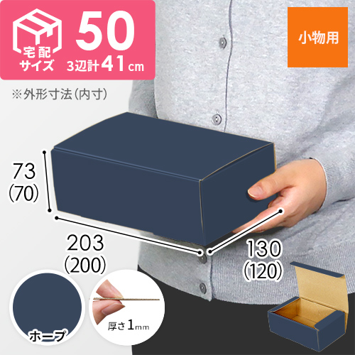 【青色・ホープ】フリーBOX・N式ケース（200×120×70mm・定形外郵便）