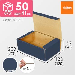 【青色・ホープ】フリーBOX・N式ケース（200×120×70mm・定形外郵便）