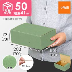 【青菜色】フリーBOX・N式ケース（200×120×70mm・定形外郵便）