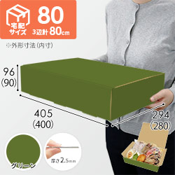 【グリーン色】宅配80サイズ・N式ケース（400×280×90mm・はっ水加工なし）